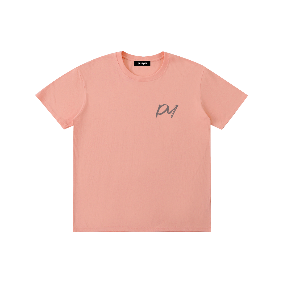 wet paint T